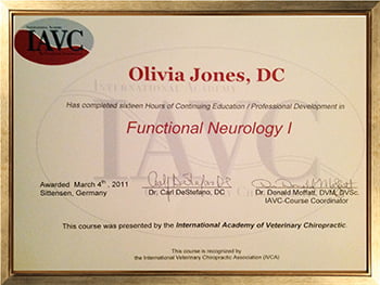 Continuing Education & Professional Development; Functional Neurology I Gained; March 2011 International Academy of Veterinary Chiropractic