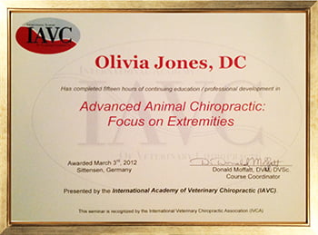 Advanced Animal Chiropractic: Focus on Extremities