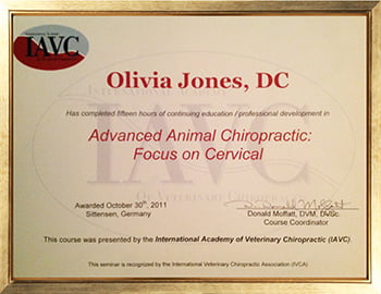 Advanced Animal Chiropractic: Focus on Cervical