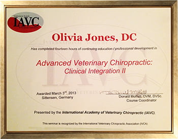 Advanced Veterinary Chiropractic: Clinical Integration II