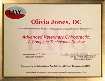 Advanced Veterinary Chiropractic