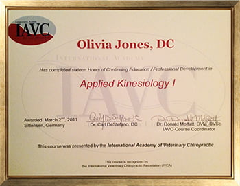 Applied Kinesiology I