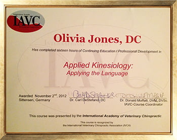 Continuing Education & Professional Development; Applied Kinesiology: Applying the Language