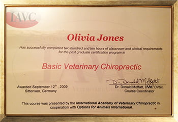 Basic Veterinary Chiropractic