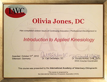 Introduction to Applied Kinesiology