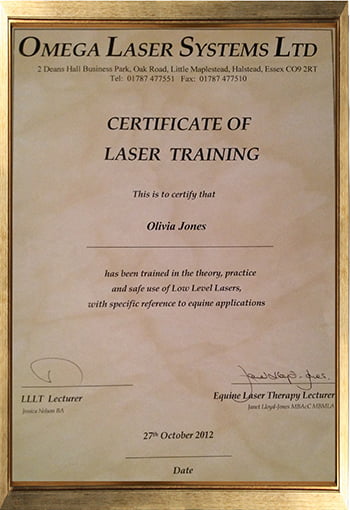 LaserTraining