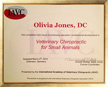 Veterinary Chiropractic for Small Animals