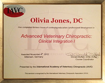 Advanced Veterinary Chiropractic - Clinical Integration 1